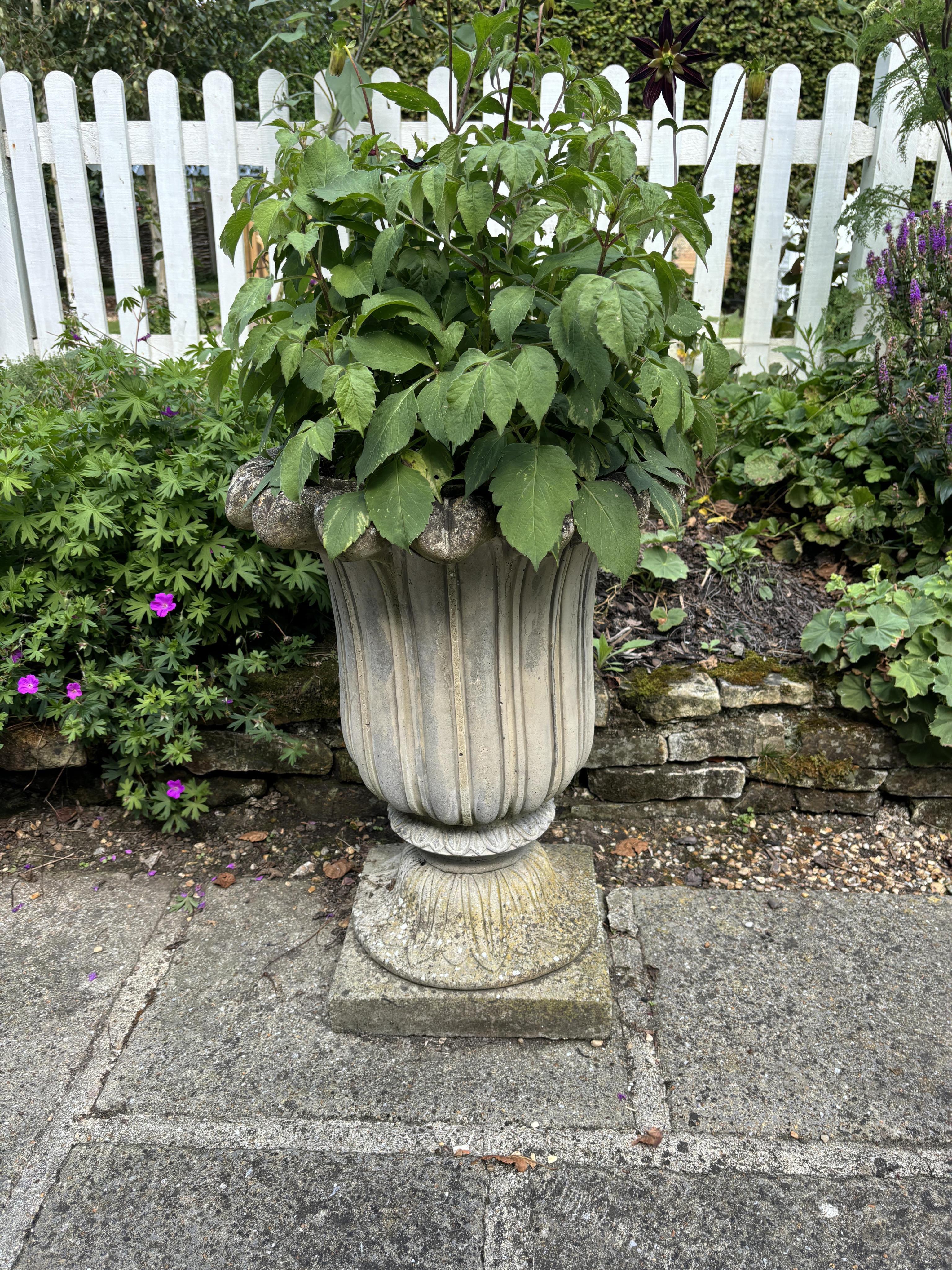 A pair of reconstituted stone tulip urns, height 66cm, depth 50cm, planting removed. Condition - weathered, otherwise good